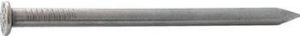 Bild von Draadnagel, 3.5 x 80 mm, platkop, gegalvaniseerd, verzinkt