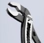 Bild von KNIPEX Alligator®, Waterpomptang 300