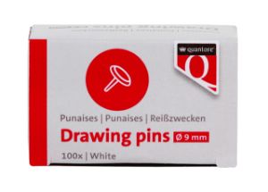 Bild von Punaises Quantore 100 stuks wit
